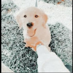 Meet your Posher, Clarke